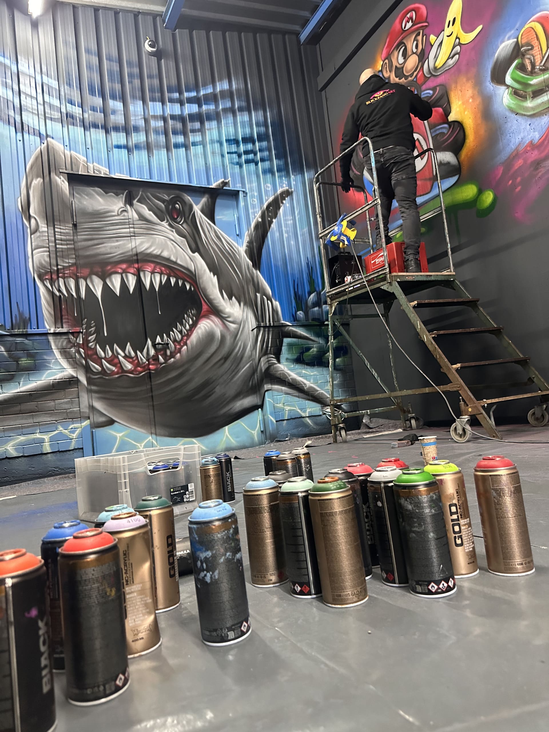 blickfangart-graffiti-gestaltung-wand-fassade-hobby-raum-6